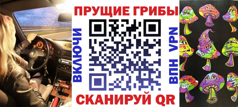 как найти закладки  Тамбов  Галлюциногенные грибы Psilocybe 